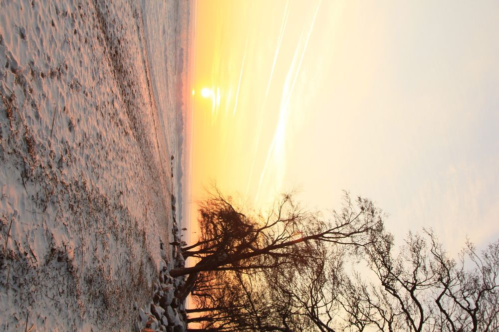 Photograph by Анастасия Сыротюк