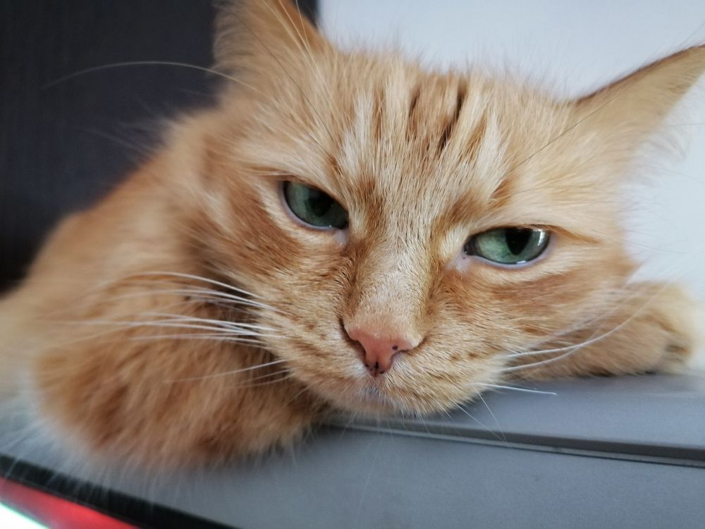 Photograph by Станислав Евсеев