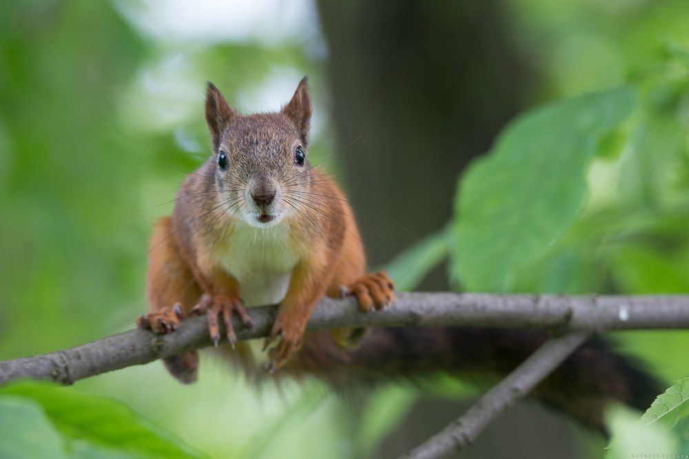 Фотография автора Виталий