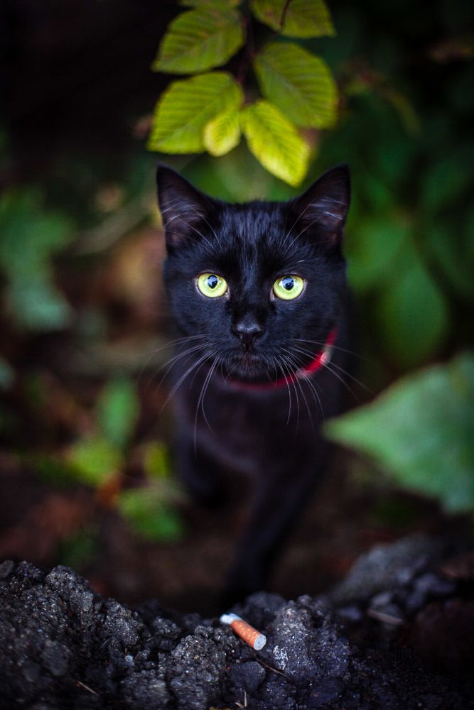 Photograph by Оксана Сікорська