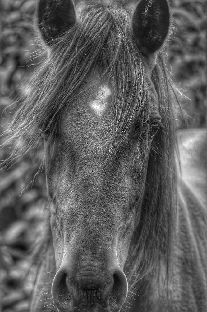 Photograph by Peter Hayes