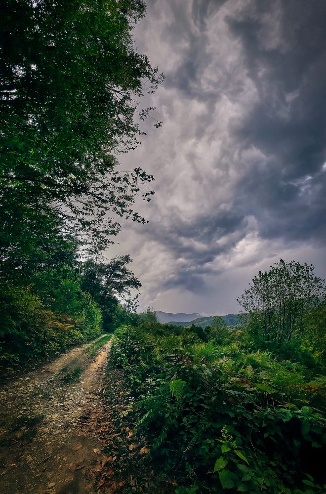 Буря...Скоро грянет буря!