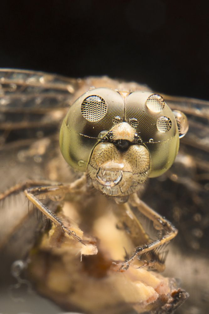 Photograph by Subhajit Basak