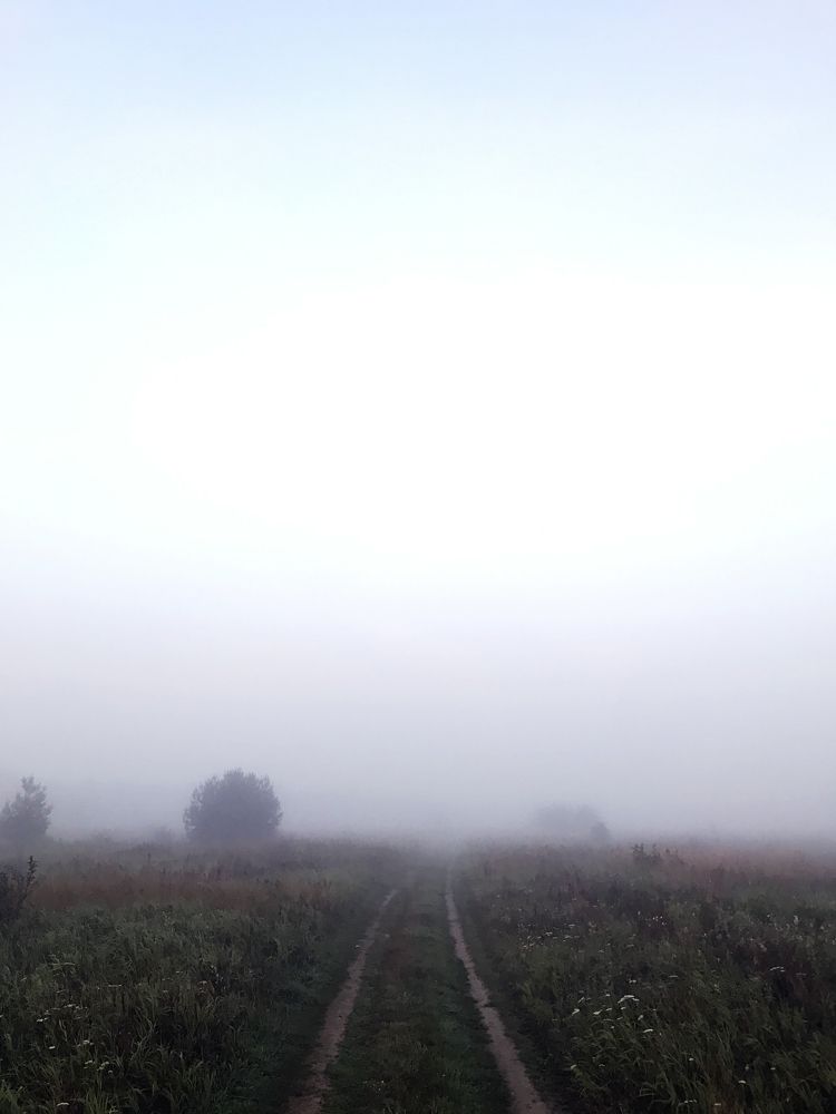 Photograph by Андрей Воробьев