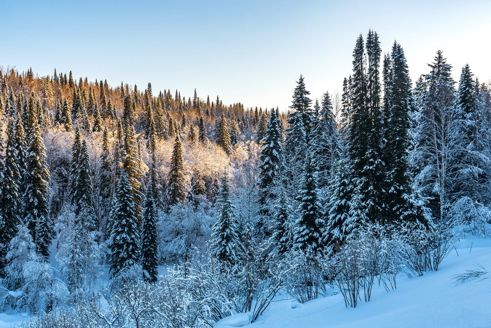 Photograph by Виктор Садырин