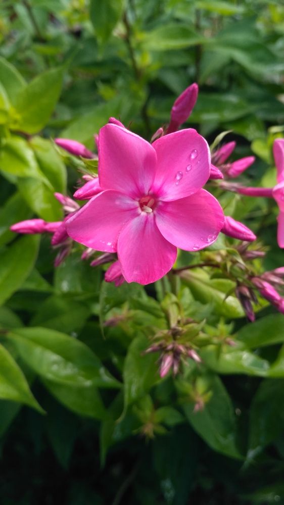 Photograph by Станислав Евсеев