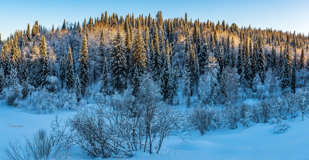 Photograph by Виктор Садырин