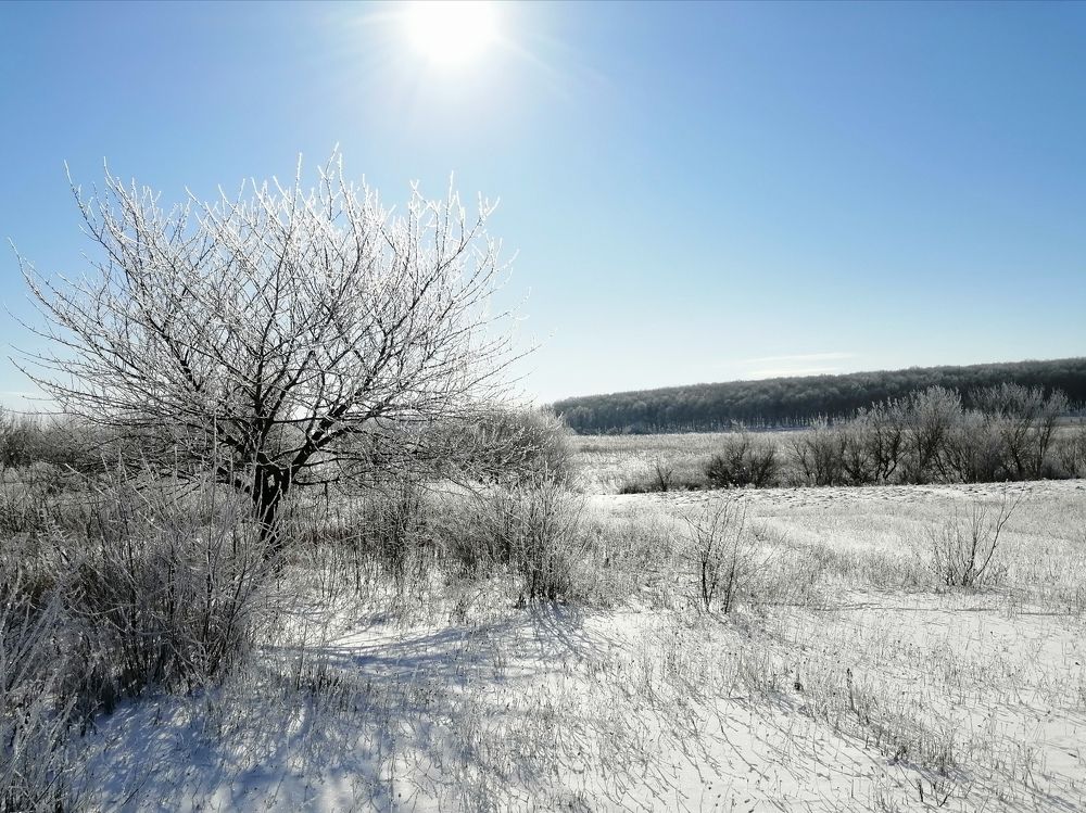 Photograph by Ирина Зима