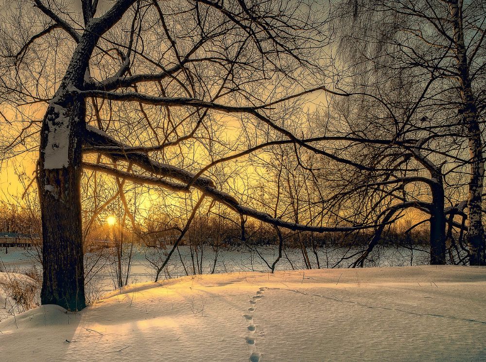 Photograph by Сергей Храпков