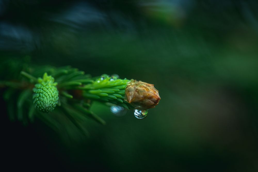 Photograph by Антон Бойков