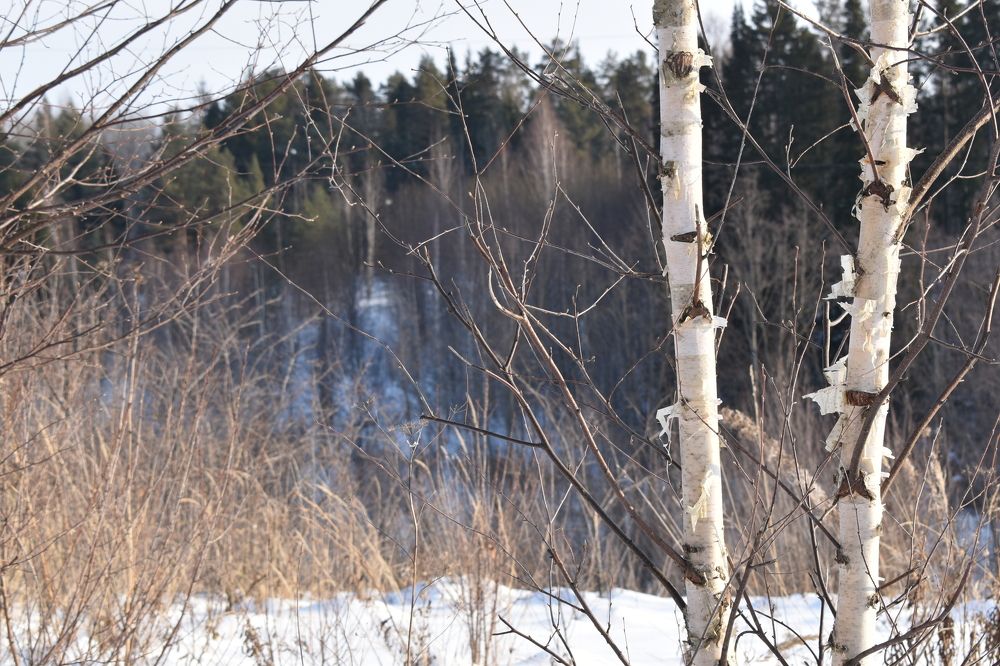 Photograph by Сергей Головин