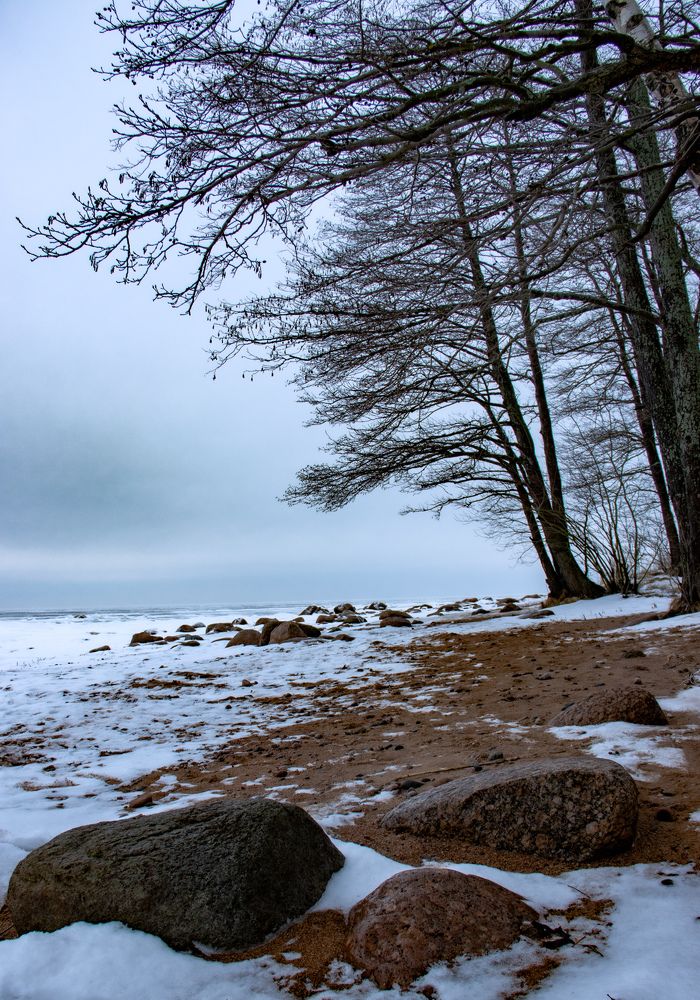 Photograph by Илья Крыжин