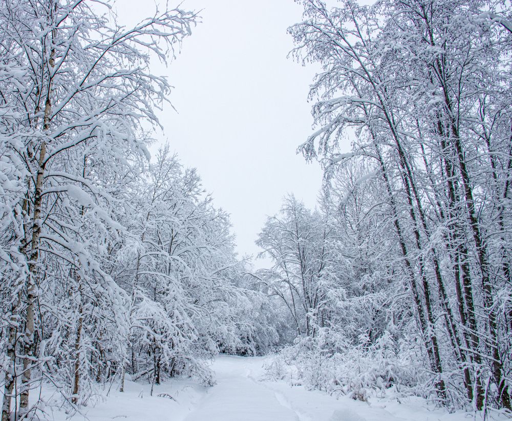 Photograph by Илья Крыжин