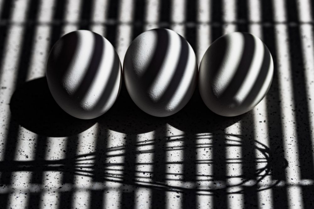 Photograph by Tamar Riabukha