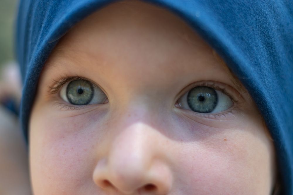 Фотография автора Балановская Виктория