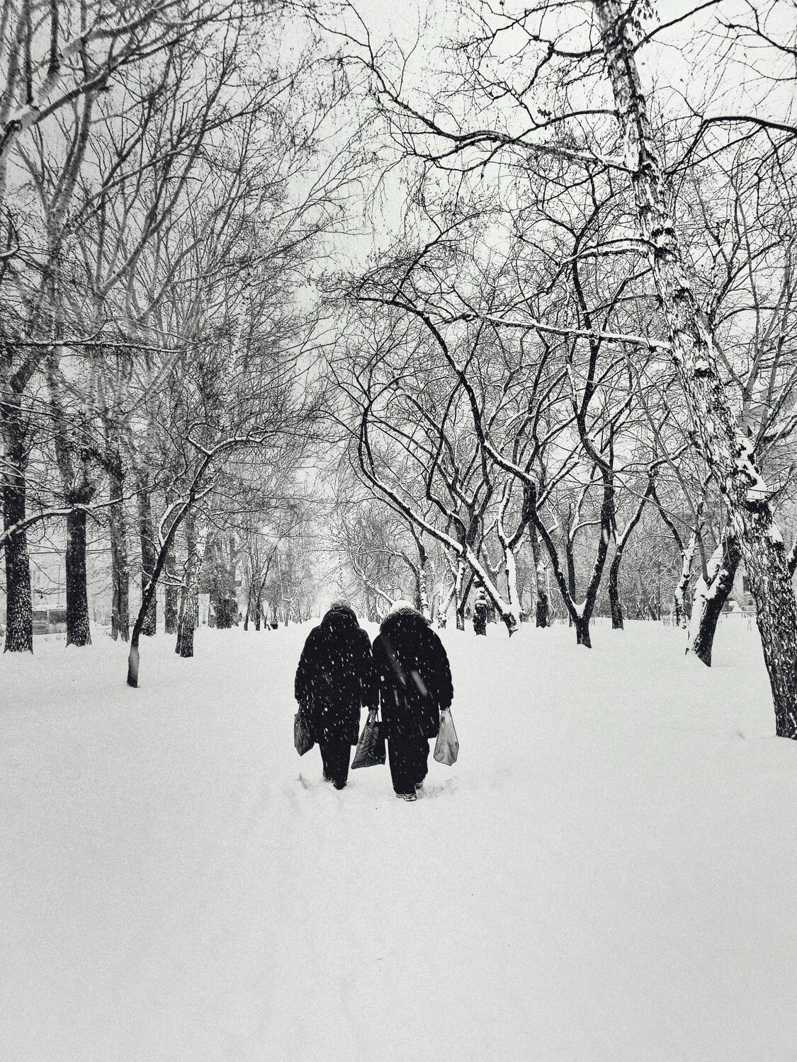 Photo #5752141