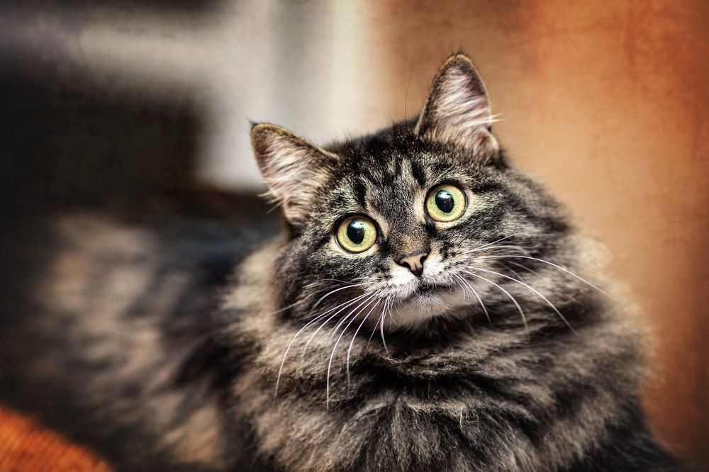 Photograph by Ольга Калимулина