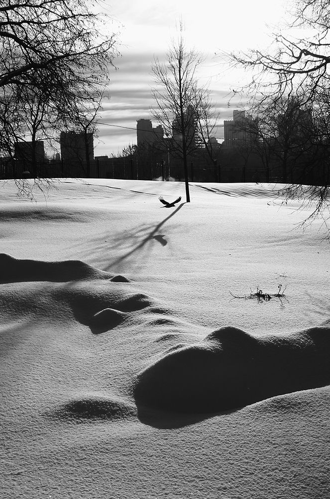 Фотография автора Елена Лаврова