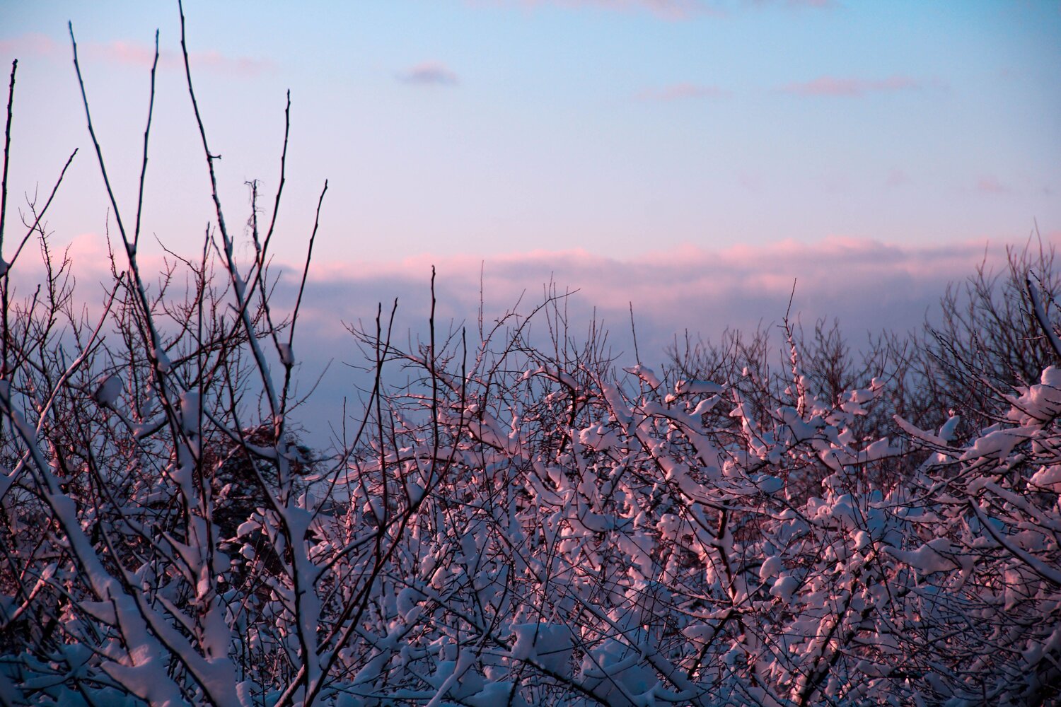 Photo #5752201