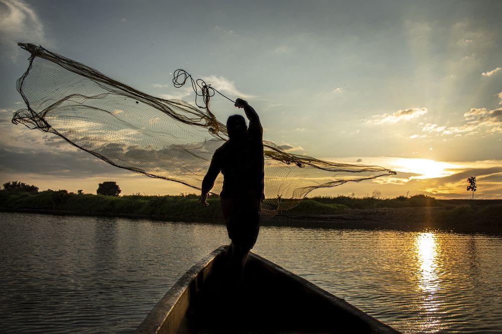 Artisanal fisherman from the Magdalena River.