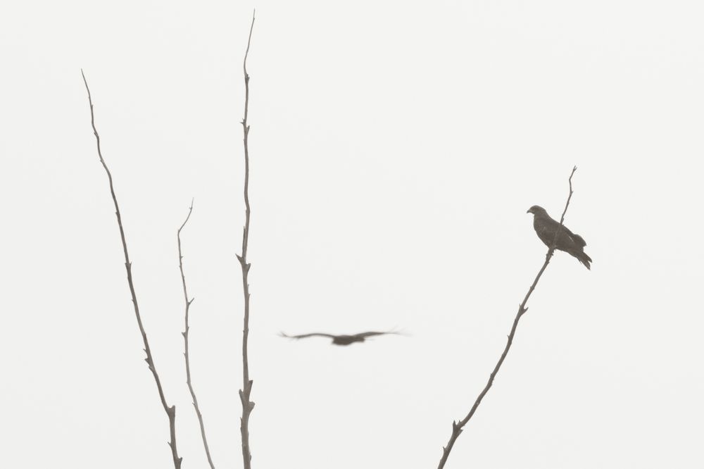 Photograph by Hait Roman