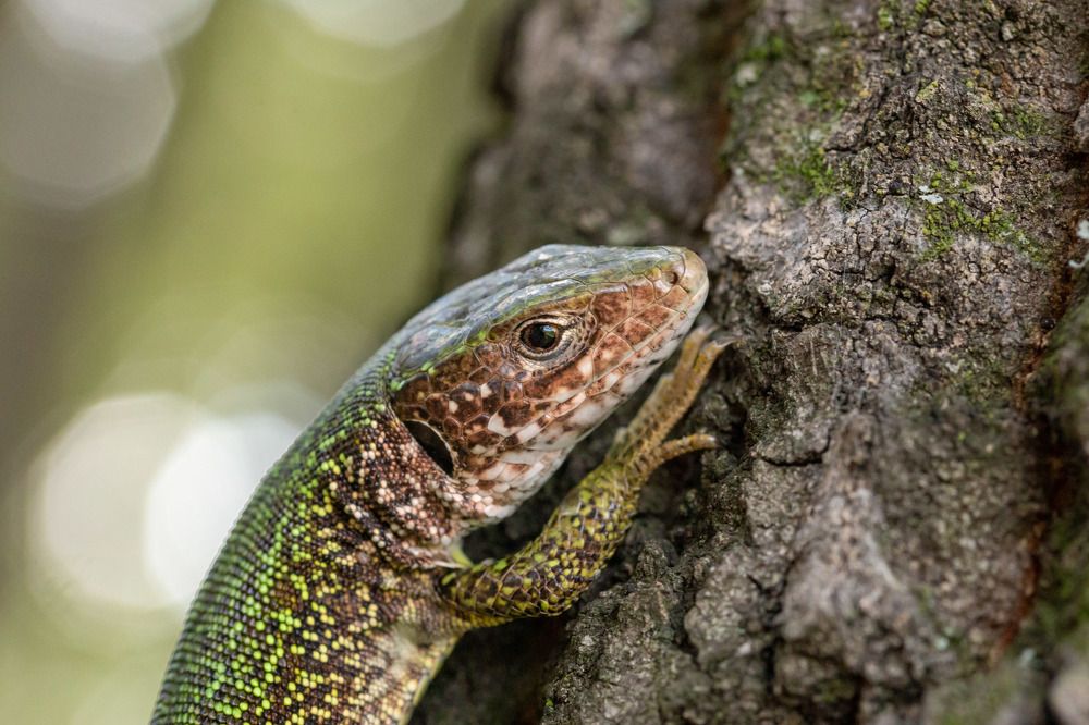 Photograph by Simona Grigorescu