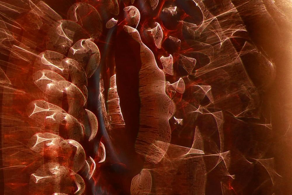 Photograph by Валентина Волкова