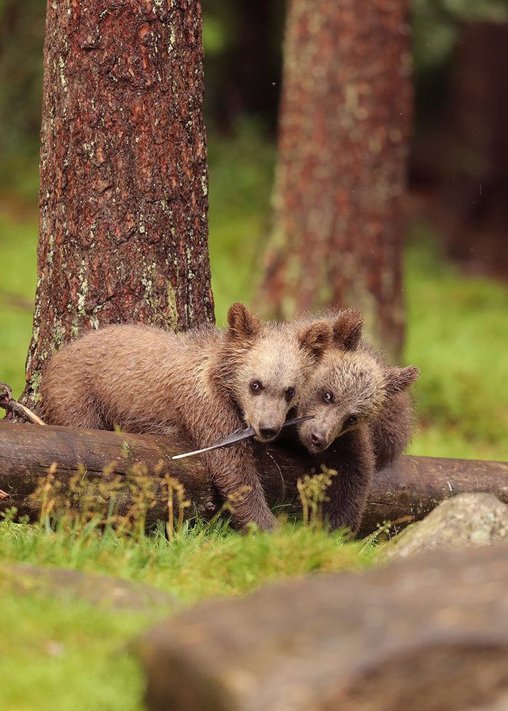 Мама, а когда папа придет?