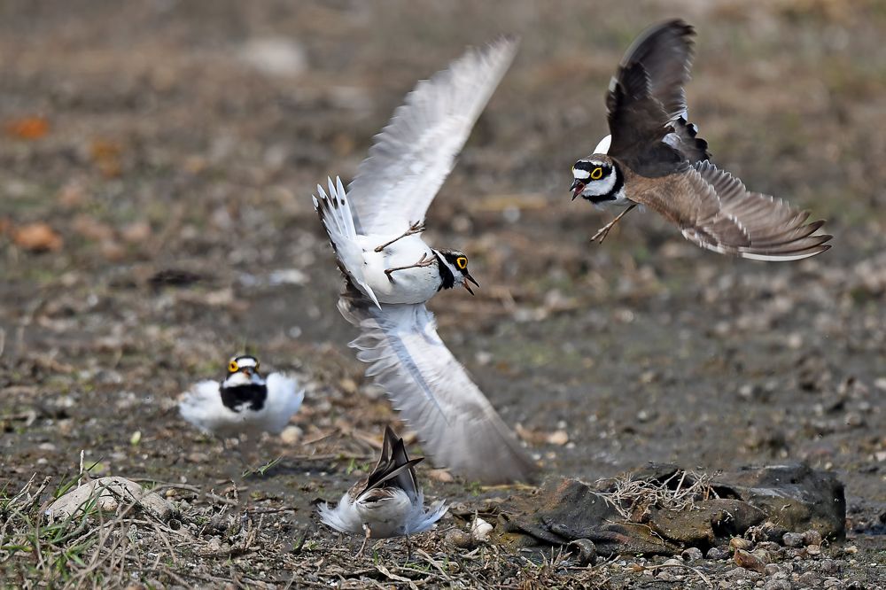 Photograph by Yuwaraj Gurjar