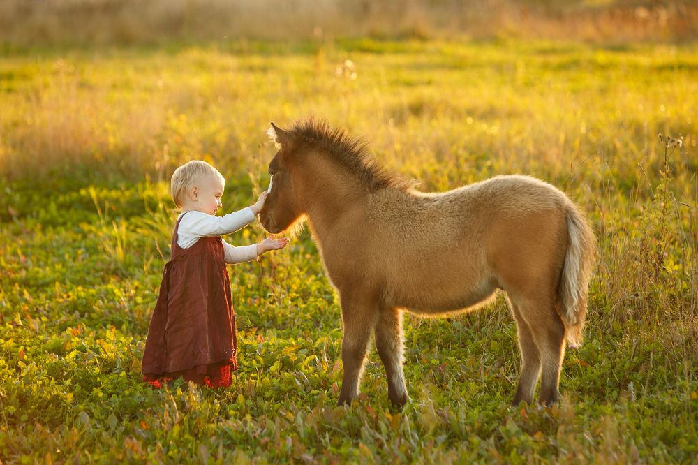 Photograph by Renate Tompsone