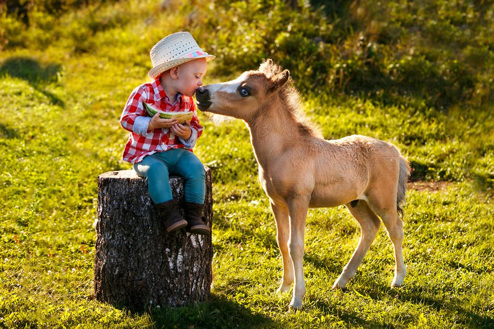 Photograph by Renate Tompsone