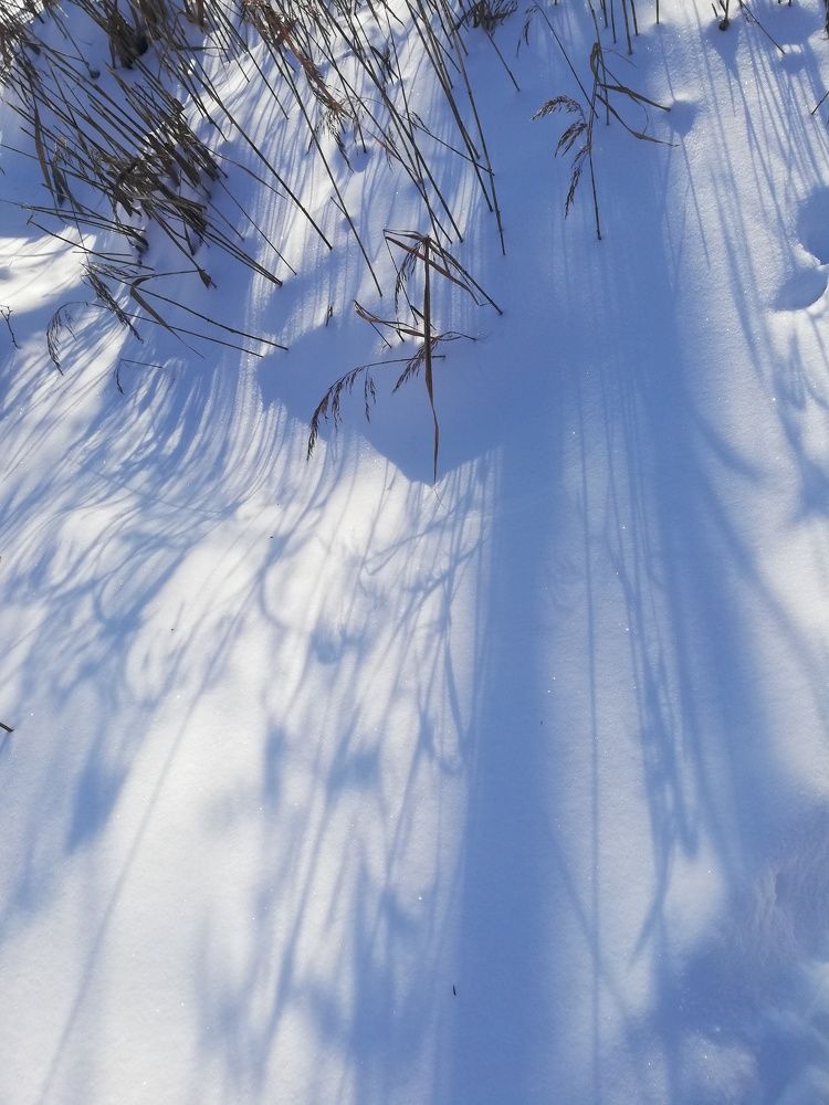 Photograph by Елена Макаренко