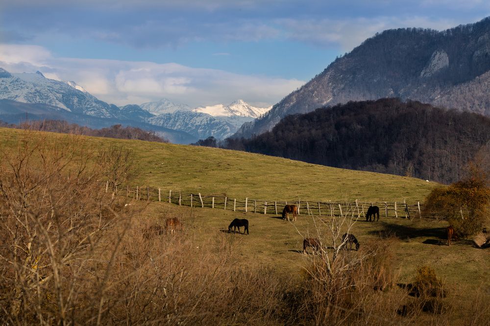 Photograph by Алексей Солоухин