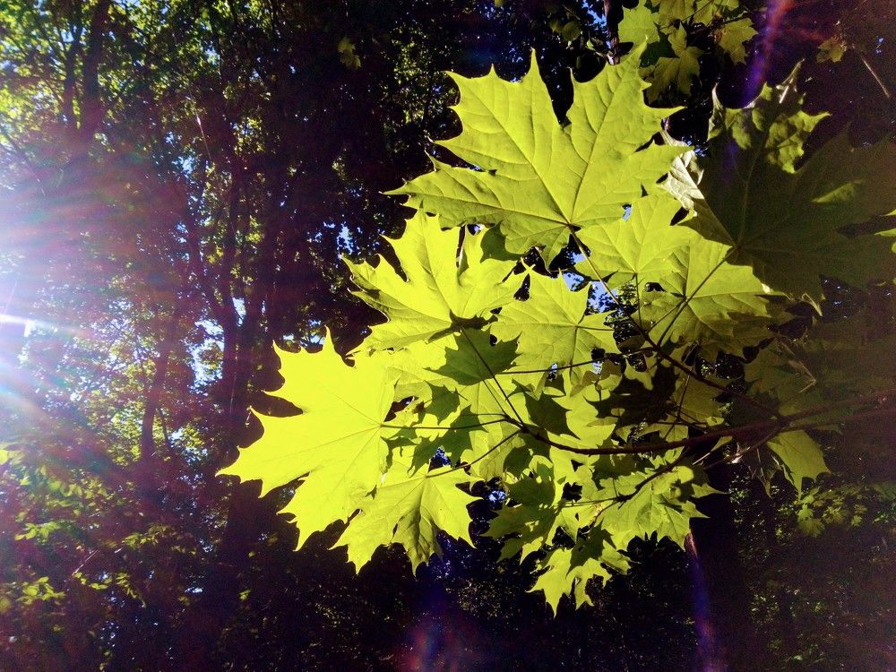 Photograph by Дмитрий Копылов