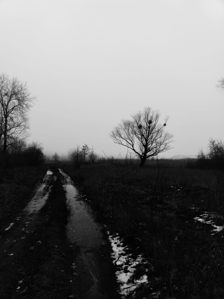 Photo #5752471