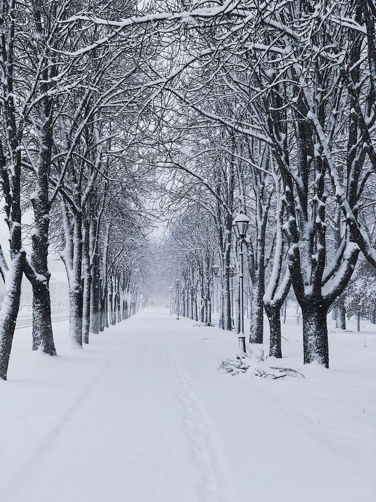 Photograph by Zarema