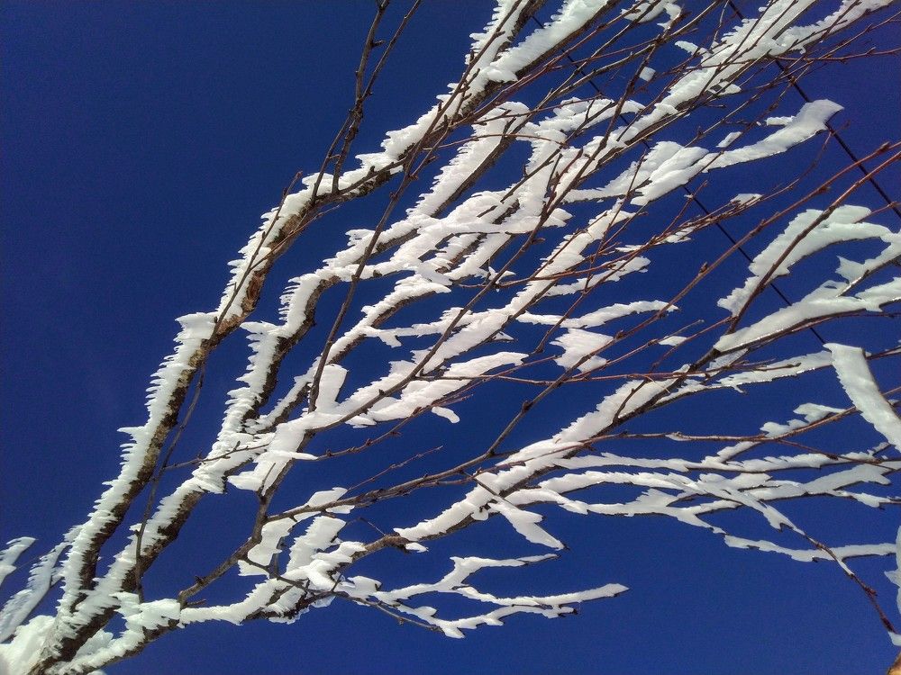 Photograph by Дмитрий Копылов