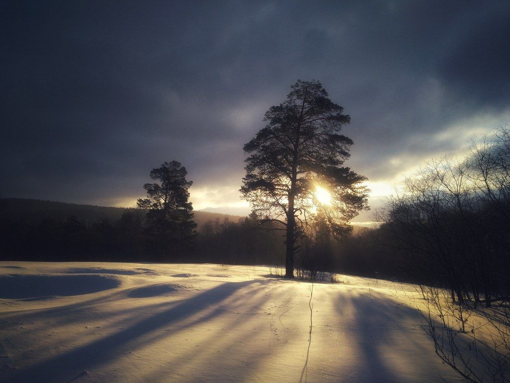 Photograph by Дмитрий Копылов