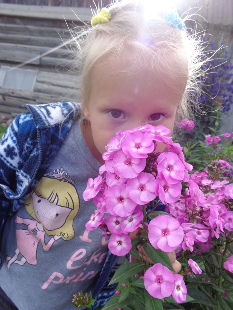 Photograph by Николай Худяков