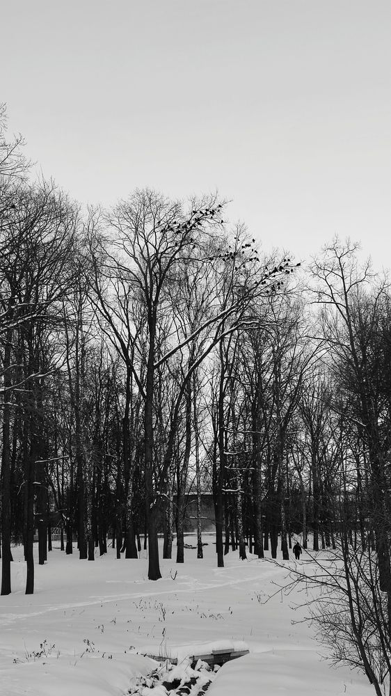 Photograph by Максим Чибисов