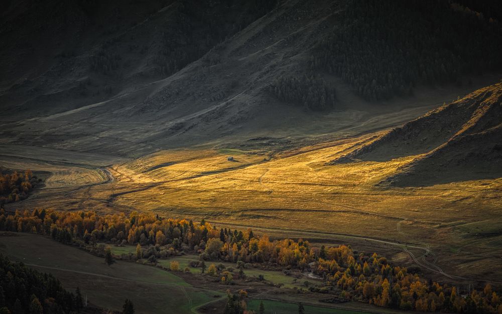 Фотография автора Елена Маковоз