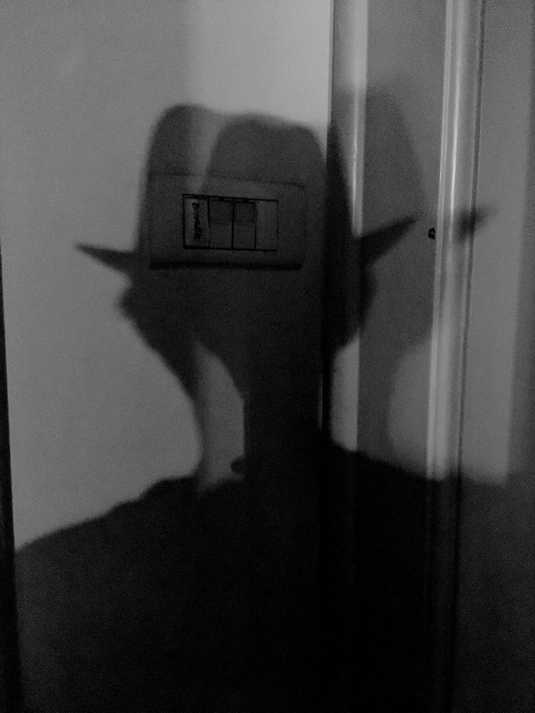 Photograph by Masha Vucinic Westerveen