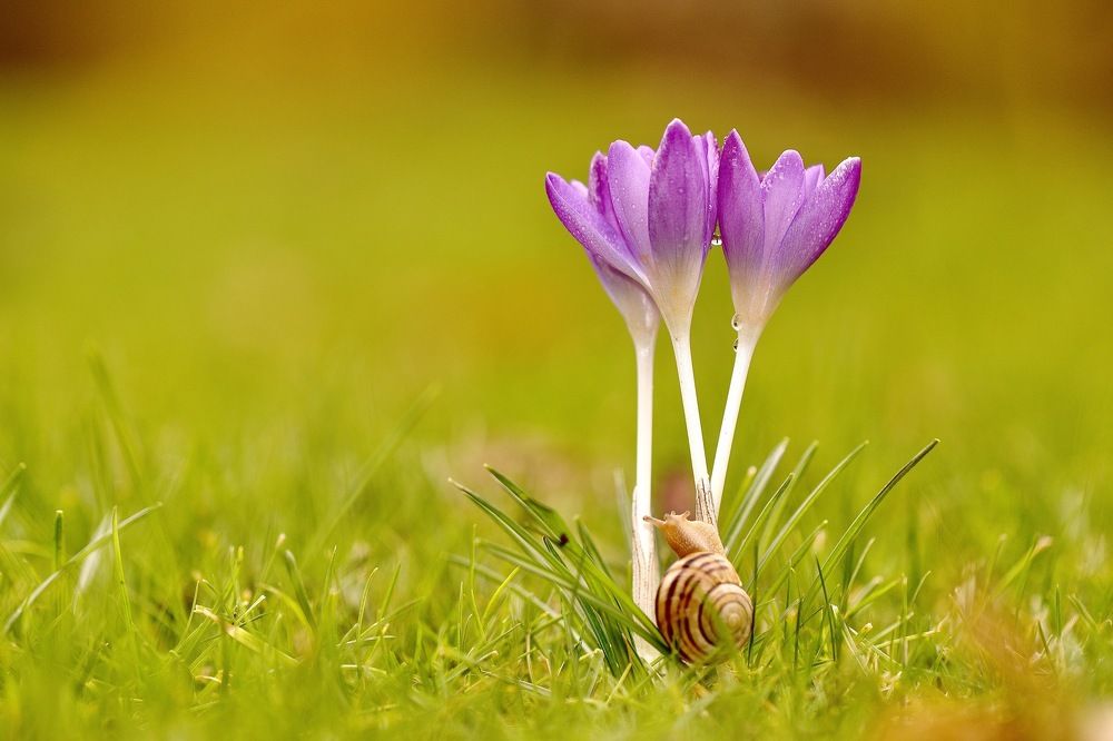 Photograph by Малика Маткарим