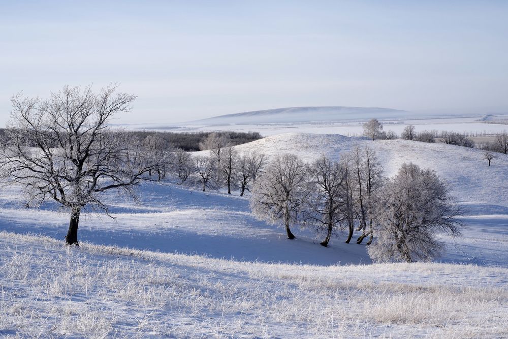 Photograph by Рашит Чумарин