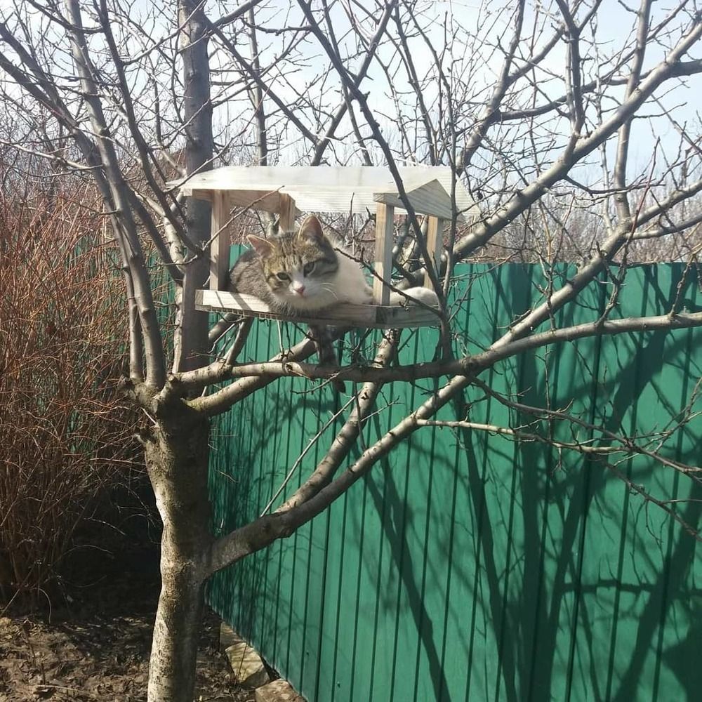 Photograph by Наталия Чайка