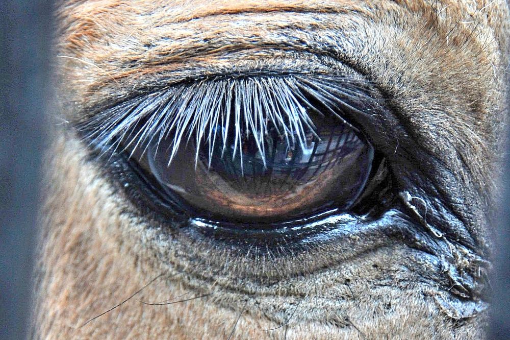 Photograph by Дмитрий Розенбаум