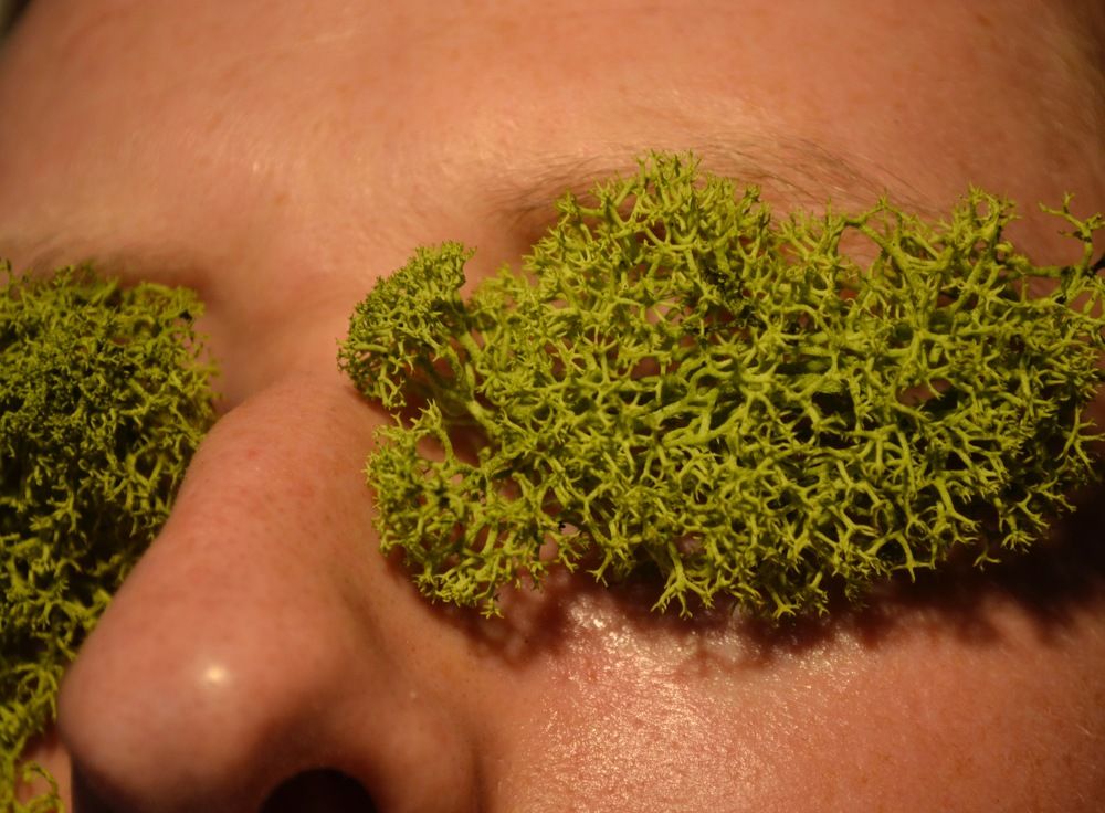 Photograph by Jozsef Cselenyi