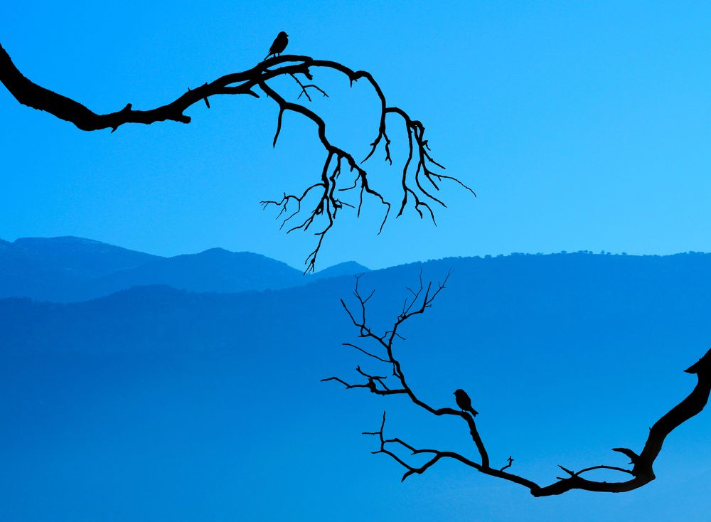 Photograph by aref tahmasbi