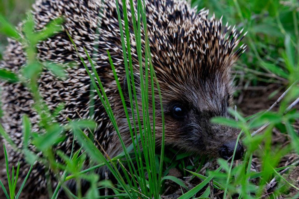 Photograph by Владимир Зеленский