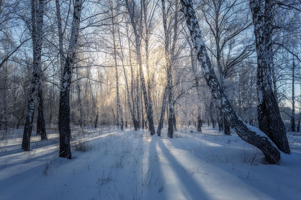 Фотография автора Мартыненко Дмитрий